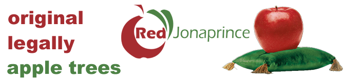 Red Jonaprince - oryginalne drzewka wysokiej jakoci