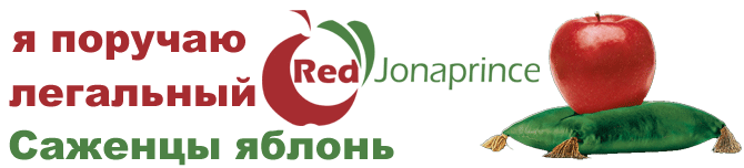 Red Jonaprince - oryginalne drzewka wysokiej jakości